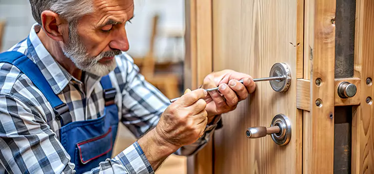 Mortise Replacement Lock Glenview